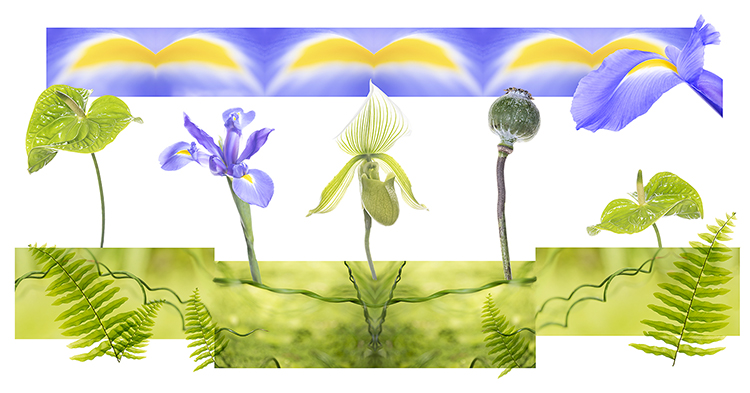 botanical exploration
	 